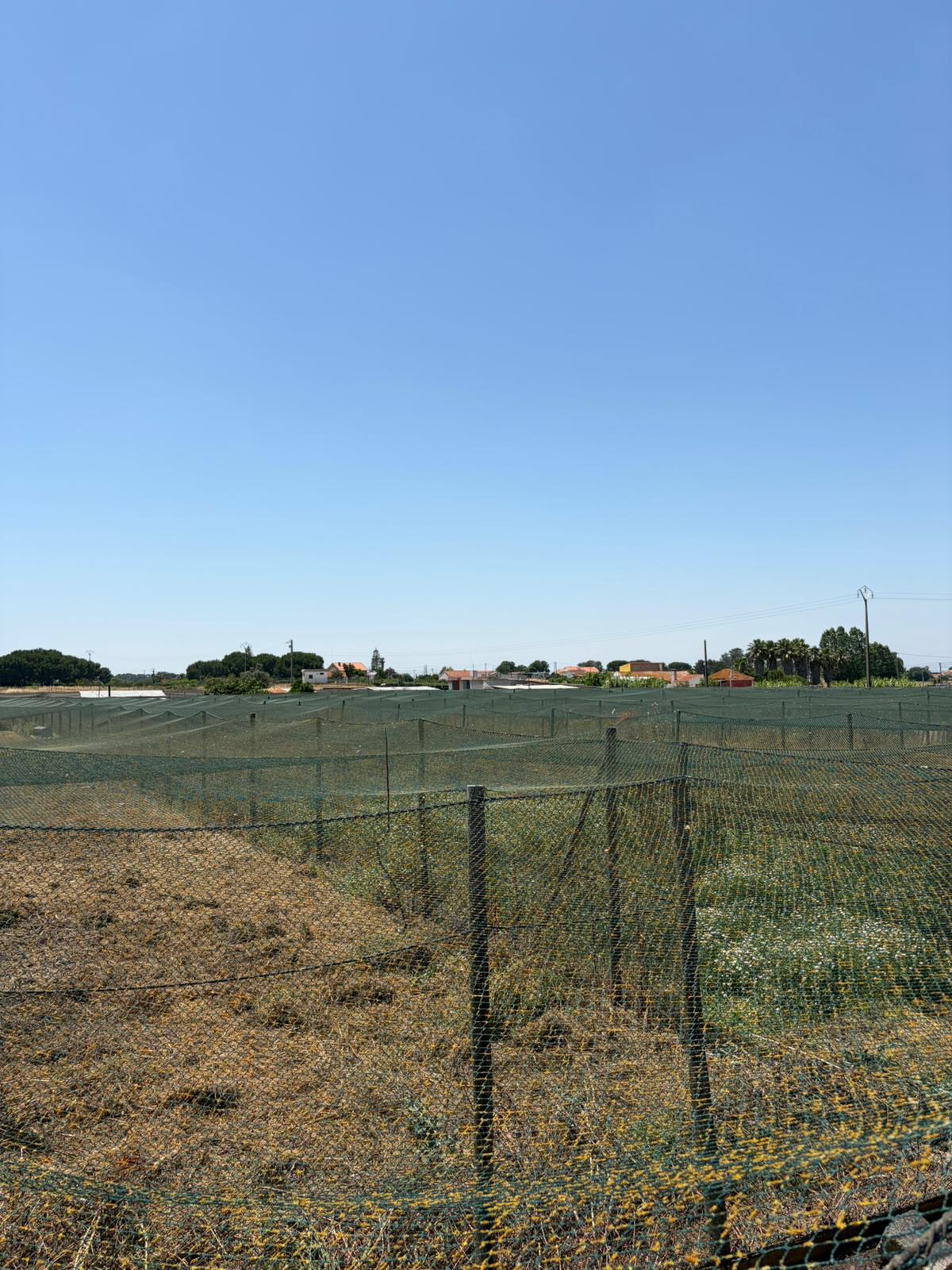 Crescimento nos Parques Exteriores